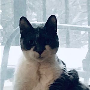 Meet your Posher, Sandra